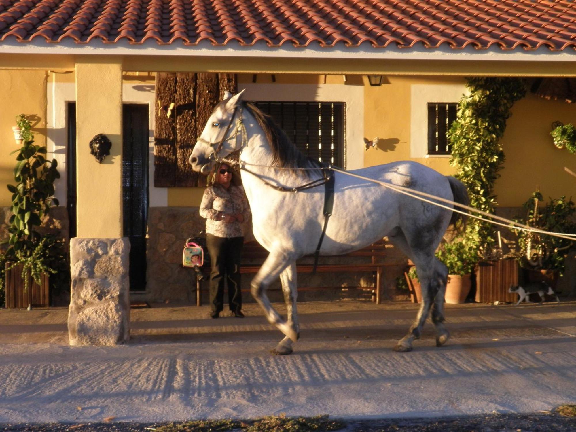 La Posada Hipica Hotell Rosalejo  Eksteriør bilde